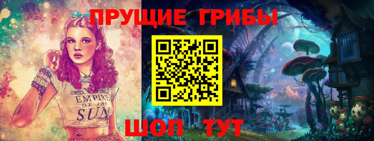 Кудымкар  Псилоцибиновые грибы GOLDEN TEACHER  Вход с VPN 