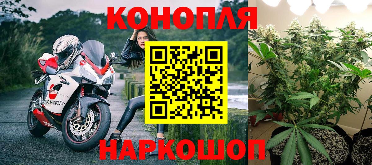 Канабис ГИДРОПОН Кудымкар